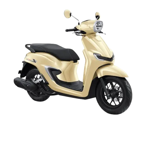 Stylo CBS Plus